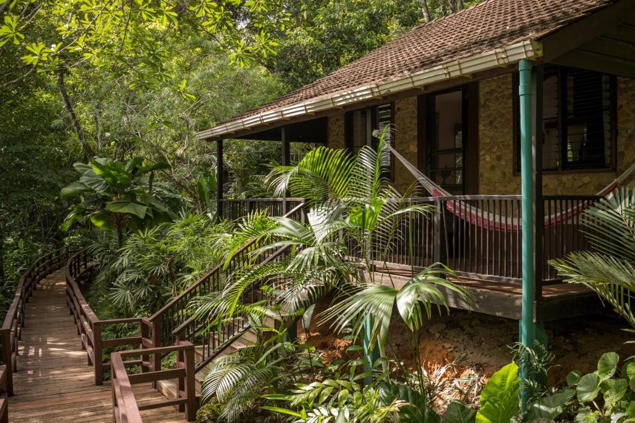 Sweet Songs Jungle Lodge 圣伊格纳西奥 外观 照片