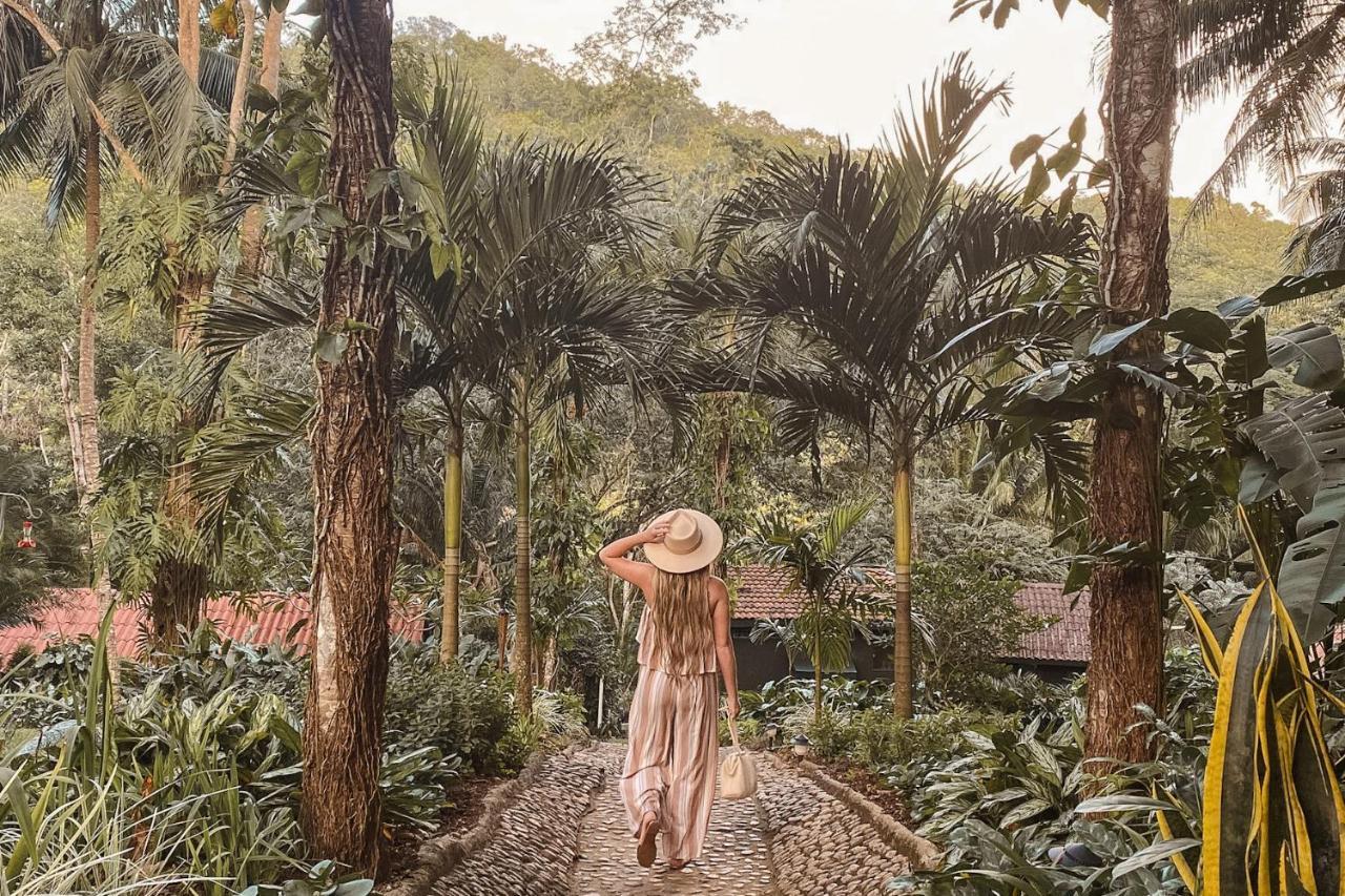 Sweet Songs Jungle Lodge 圣伊格纳西奥 外观 照片