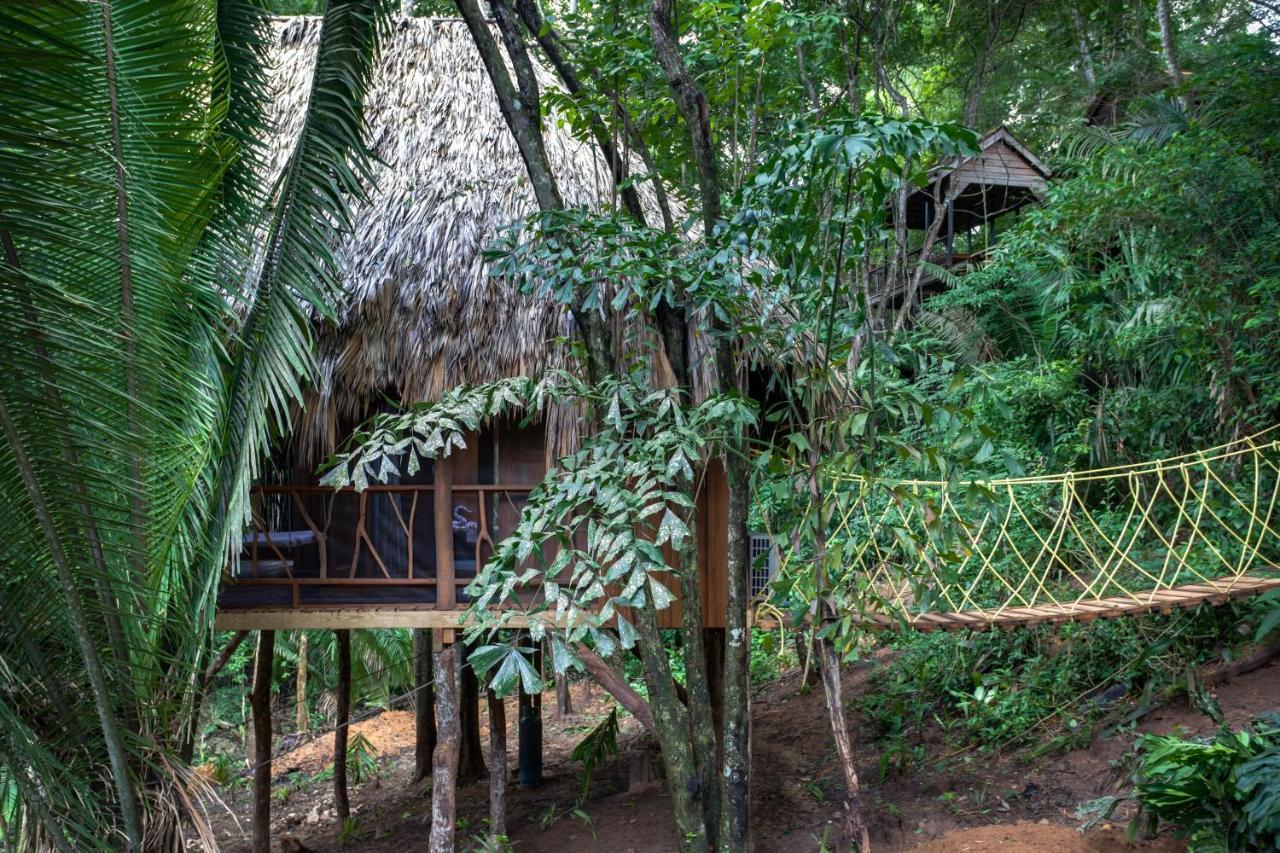 Sweet Songs Jungle Lodge 圣伊格纳西奥 外观 照片