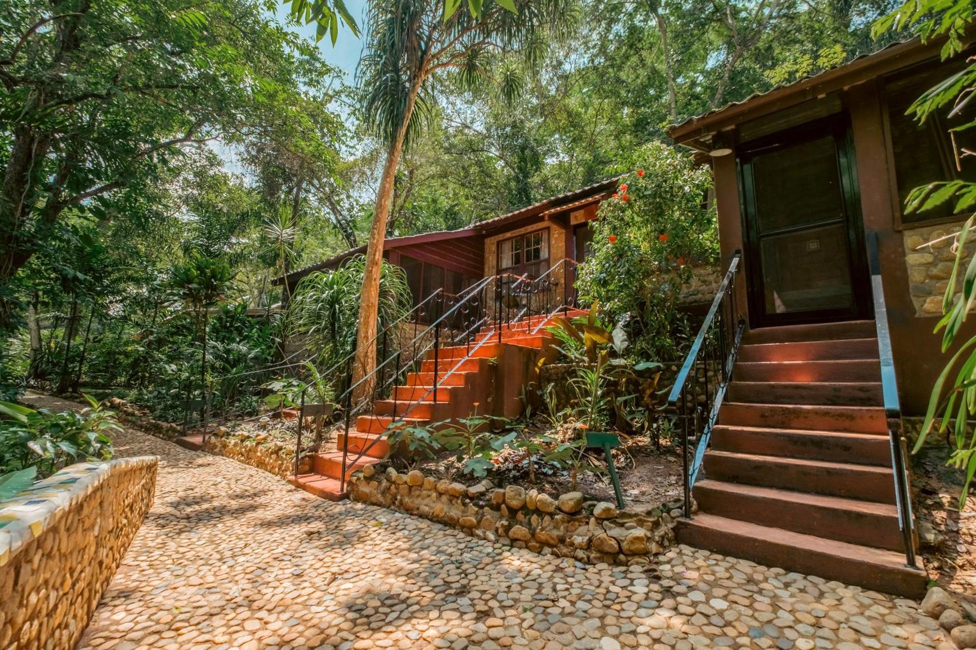 Sweet Songs Jungle Lodge 圣伊格纳西奥 外观 照片