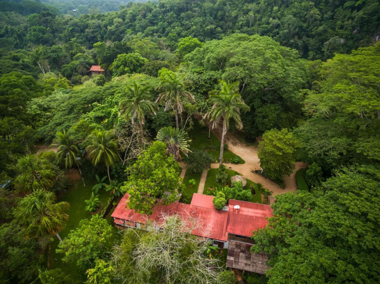 Sweet Songs Jungle Lodge 圣伊格纳西奥 外观 照片